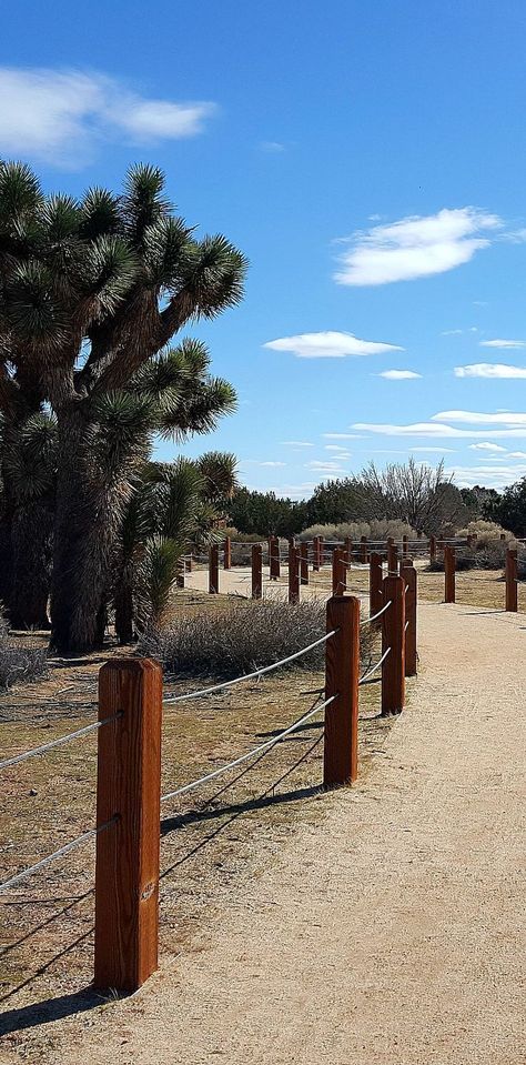 Prime Desert Woodland Preserve in Lancaster Hollywood Sign Hike, Beautiful Places In Usa, Lancaster California, Southern California Travel, California Trail, Antelope Valley, Travel Nurse, Decoupage Printables, California Camping