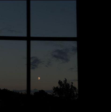 Waxing Gibbous Moon Aesthetic, Waxing Gibbous Moon, Gibbous Moon, Moon Sunset, Sunset Silhouette, Moon Photos, Moon Pictures, Mind Quotes, Beautiful Mind