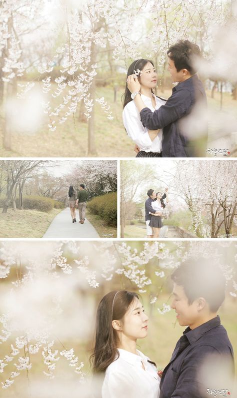 Cherry Blossom Couple Photos, Cherry Blossom Couple, Japan Prewedding, Pre Nup Photoshoot, Fun Photoshoot Ideas, Japan Photoshoot, Cherry Blossom Engagement, Sakura Wedding, Korean Photography