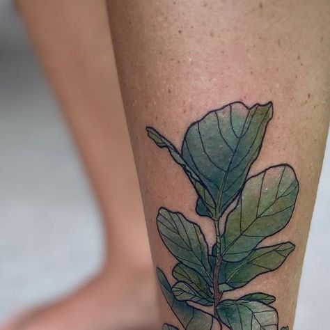 Fiddle Leaf Tree Tattoo, Fiddle Leaf Tree, Fiddle Leaf, Fiddle Leaf Fig, August 28, Tree Tattoo, Big Tattoo, So Happy, I Am Happy