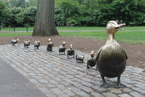 Mallard and her ducklings to waddle along. Description from annettegendler.com. I searched for this on bing.com/images Boston With Kids, Boston Attractions, Make Way For Ducklings, Boston Public Garden, Boston Things To Do, Boston Common, Public Garden, Modern Sculpture, In Boston