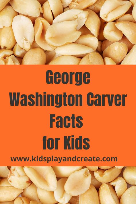 George Washington Carver Inventions, George Washington Facts, George Washington Carver, Facts For Kids, Kids Play, Preschool Kindergarten, George Washington, School Students, 4th Grade