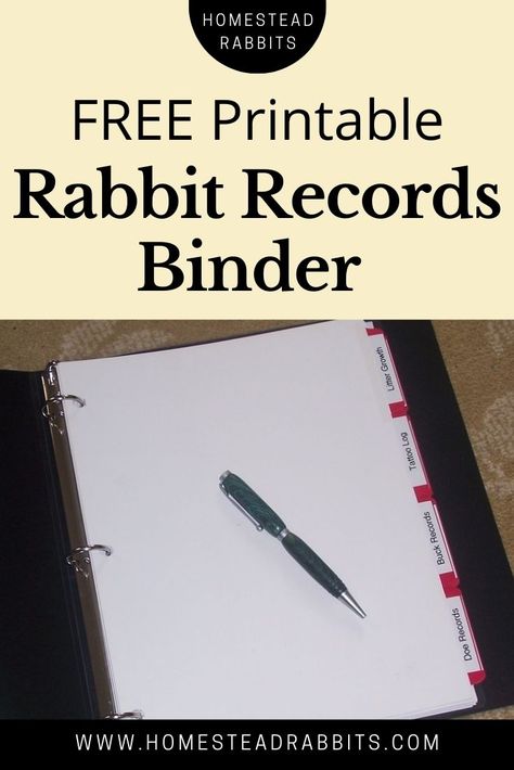 Good records are essential to raising quality rabbits. Print FREE Rabbitry Records pages and reach your rabbit breeding goals much faster... Rabbit Care Checklist, Free Roam Rabbit Set Up, Rabbit Pedigree Template, Rabbit Food List, Backyard Rabbits, Rabbit Nesting Box, Rabbit Breeding, Meat Rabbits Breeds, Breeding Rabbits For Meat