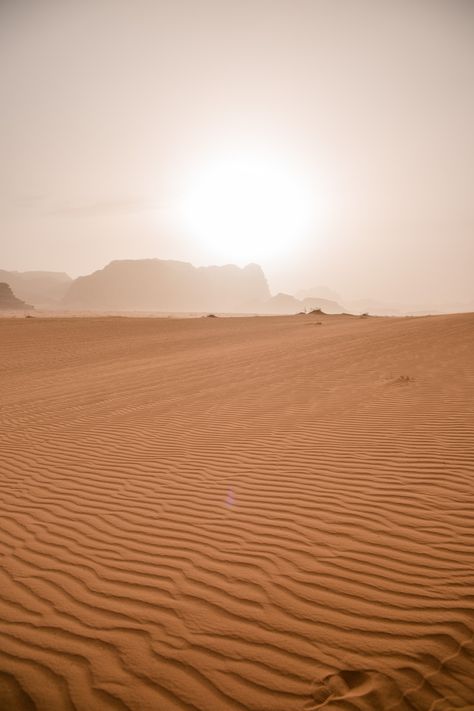 Join me on a desert safari in one of the most breathtaking places in Jordan - Wadi Rum. Wadi Rum is a vast desert offering spectacular views and experience. Follow the footsteps of Lawrence of Arabia with me! © thevivalavita.com Desert Astethic, Desert Video, Desert Creatures, Camping Desert, Petra Travel, City Concept, Bookish Art, City Of Petra, Desert Aesthetic