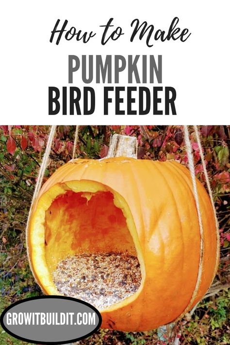 This is a simple craft project you can do with kids to reuse your leftover pumpkins & jack o'lanterns from Halloween. Pumpkin Bird Feeder For Kids, Pumpkin Bird Feeder, Cottagecore Gardens, Pumpkin Bird, Cottagecore Inspiration, Outdoor Friends, Lanterns Diy, Gardening Tricks, Bird Feeder Craft