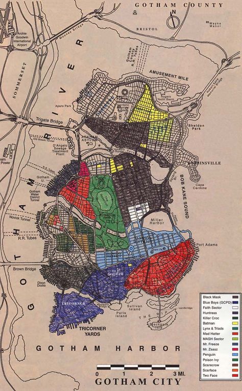 Gotham City Gotham City Map, Gotham City Aesthetic, No Man's Land, Detective Comics, Red Hood, Young Justice, Bat Family, The Dark Knight, The Batman