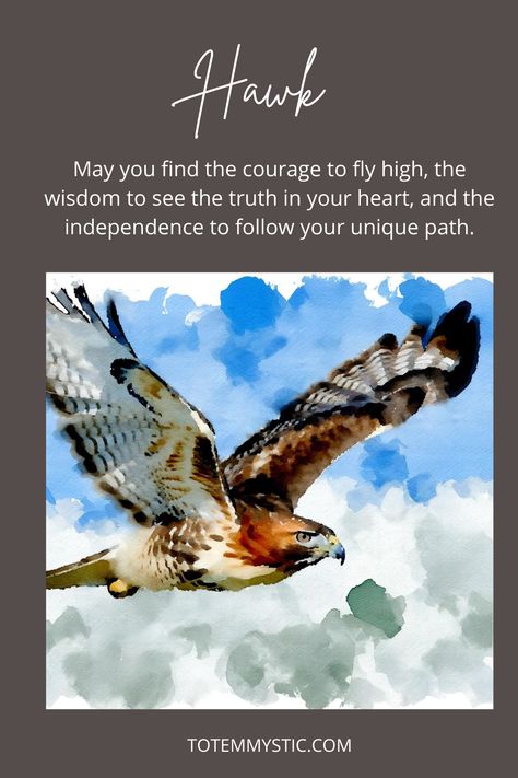 Soar confidently, gaze forward, and ascend courageously, guided by the spirit of the Hawk. #spirit animal #spiritual meaning #totem animal #power animal Hawk Meaning Spirit Animal, Hawk Quotes, Hawk Meaning, Hawk Symbolism, Hawk Spirit Animal, Wildlife Quotes, Hawk Spirit, Ancient Witch, Spiritual Animals