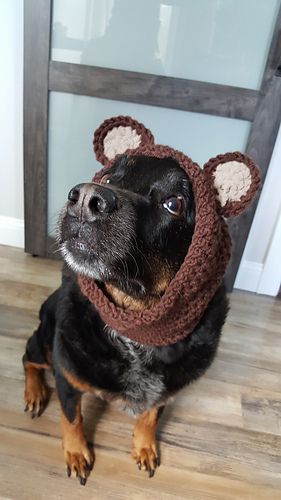 Ravelry: Dog Snood and Hat pattern by Trina Dusharm Free Crochet Pattern For Large Dog Hat, Crochet Pet Hat Pattern, Crochet Hats For Dogs Free Pattern, Crochet Snood For Dogs, Crochet Dog Costumes Halloween, Crochet Dog Gifts, Pet Hat Pattern, Crochet Hat For Dog, Crochet Hats For Dogs