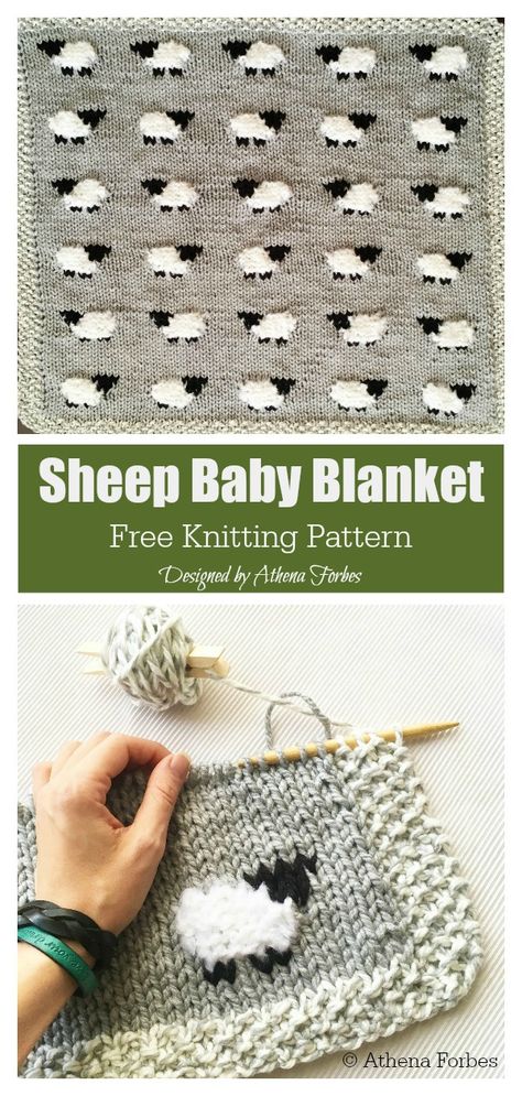 Sheep Baby Blanket, Purl Bee, Easy Knitting Projects, Blanket Crochet Pattern, Unique Blankets, Knitted Baby Blankets, Blanket Knitting Patterns, Baby Blanket Pattern, Baby Blanket Crochet Pattern