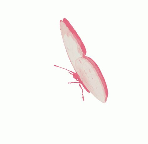 Click to view the GIF Butterfly Flying Animation, Butterflies Animation, Butterfly Animated, Butterfly Gif, Bubbles Wallpaper, Wedding Picture, Wedding Pictures, Animated Gif, Cool Gifs