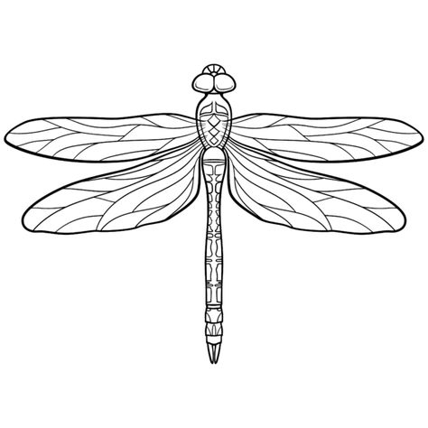 Coloring Pages in Pigment Stained Glass Dragonfly Tattoo, 3d Pen Stencils, Dragonfly Artwork, Dragonfly Drawing, Dragonfly Images, Insect Coloring Pages, Dragonfly Photos, Dragonfly Painting, Coloring Book Download