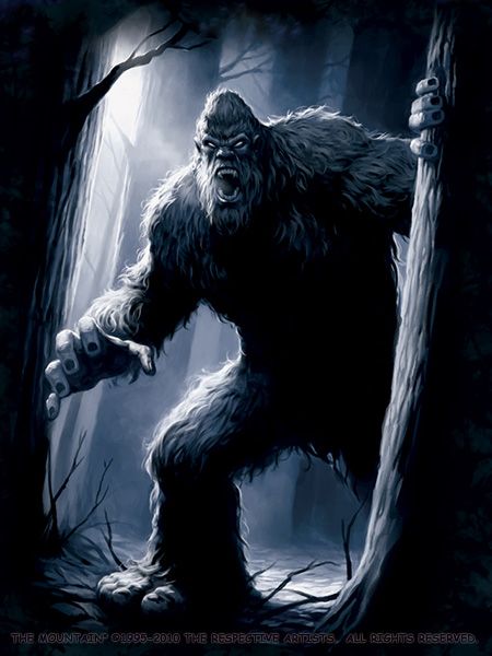 Bigfoot Pictures, Yeti Bigfoot, Bigfoot Art, Bigfoot Sightings, John Terry, Bigfoot Sasquatch, Fantasy Monster, Mythological Creatures, 판타지 아트