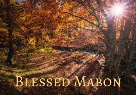 Blessed Mabon, Mabon Ritual, Air Symbol, Voodoo Rituals, Water Symbol, Solstice Celebration, Ritual Tools, Wicca Witchcraft, Wiccan Spells