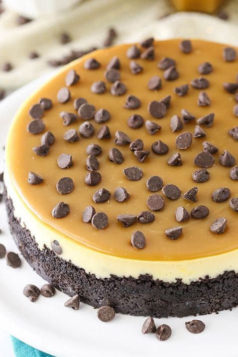 Life Love And Sugar, Chocolate Ideas, Caramel Recipes Sauce, Vanilla Cheesecake, Chocolate Chip Cheesecake, Homemade Caramel Sauce, Homemade Cheesecake, How To Make Cheesecake, Caramel Cheesecake