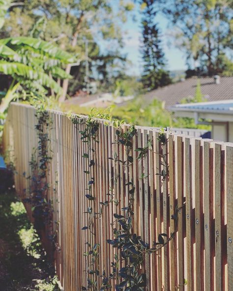 Climbing Plants On Fence, Vertical Cladding House Exterior, Batten Fencing, Hardwood Fence, Backyard Fence Landscaping, Batten Fence, Natural Fencing, Beach House Garden, Privacy Screen Fence