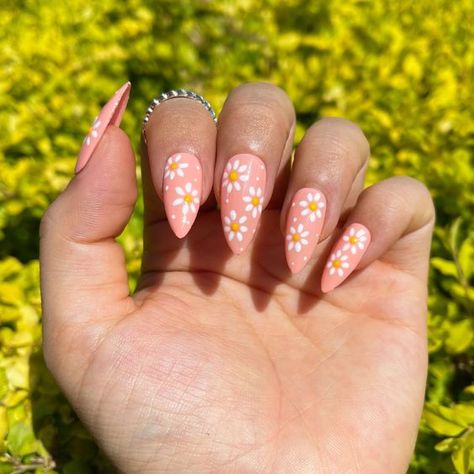 Daisy Flower Peach Press On Nails | Hand Painted | Luxury | Custom Made | DIY | Glue on Nails Spring Nails Daisies, Peach Nails With Flowers, Peach Flower Nails, Peach Nails With Designs Summer, Cute Peach Nails, Cute Pink Summer Nails, Pink Daisy Nails, Easy Flower Nails, Peach Nails With Designs