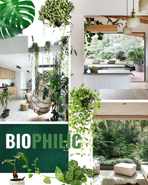 The Importance Of Biophilic Design: How To Make Your Home Greener | SampleBoard Biophilic Home, Faux Plants Decor, Vertical Garden Indoor, Biophilic Design, Bold Wallpaper, Design Fields, Interior Plants, Faux Succulents, Living Wall