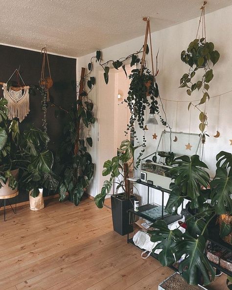 Rooms With Accent Walls, Plant Room Aesthetic, Dark Green Rooms, Bedroom Plants Decor, Gothic Living Room, Witchy Home, Green Apartment, Witch Room, Witchy Home Decor