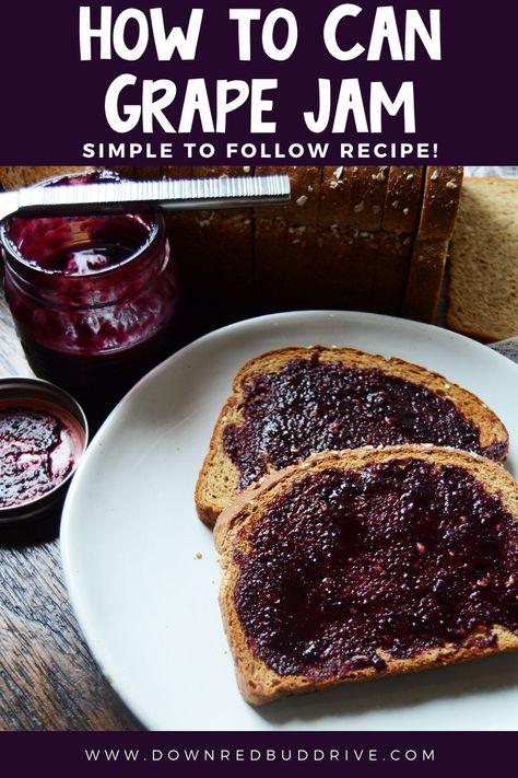 Beginner Canning, Canning Tutorial, Concord Grape Recipes, Concord Grape Jam, Grape Jelly Recipe, Grape Jam Recipe, Homemade Grape Jelly, Concord Grape Jelly, Easy Jam Recipe