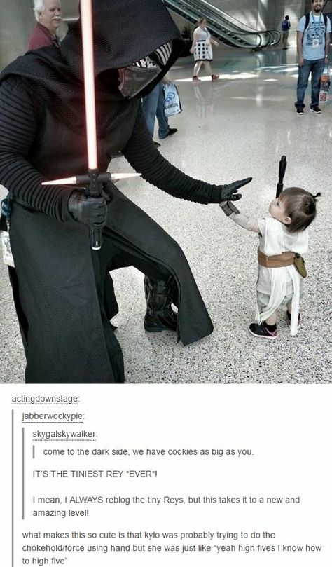 Aww, tiny Rey Star Wars Meme, Star Wars Film, Orphan Black, Anais Nin, Kylo Ren, Star Wars Memes, Nerd Alert, Best Cosplay, Dexter