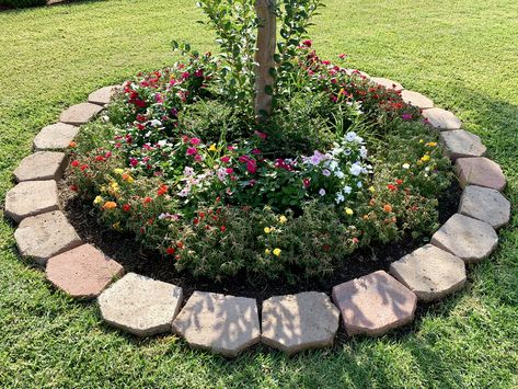 Circle Flower Beds In Front Of House, Round Flower Beds In Front Of House, Circle Flower Bed Ideas, Flower Bed Around A Tree, Circular Flower Bed Ideas, Round Flower Bed Ideas, Curved Garden Beds, Circle Flower Bed, Yard Trees