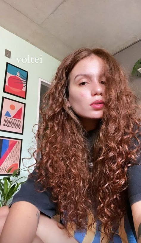 Brown Ginger Hair Curly, Cinnamon Curly Hair, Ginger Hair Curly, Dark Ginger Hair, Curly Hair Up, Red Hair Green Eyes, Red Curls, Bronze Hair, Curly Hair Tutorial