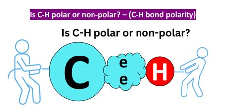 Is C-H Polar or Nonpolar? - Polarity of C-H Bond Molecular Shapes, Linus Pauling, Ionic Bonding, Hydrogen Atom, Covalent Bonding, Chemical Bond, A Question, Chemistry, The Unit