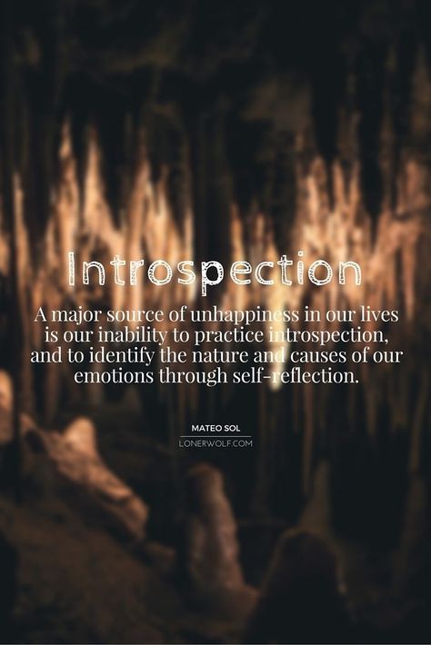 Introspection Quotes, Misunderstood Quotes, Story Themes, Self Reflection Quotes, Behavior Goals, Mirror Gallery, Introvert Problems, Introverts Unite, The Virtues