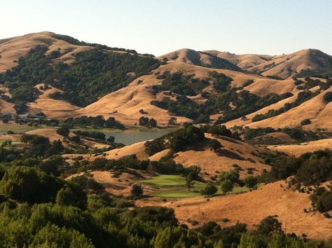 Mountains of Marin County, California Rural California Aesthetic, California Nature Photography, Marin County Aesthetic, Marin California, Granola Core, Utopia City, Barn Drawing, California Country, Mexico Landscape