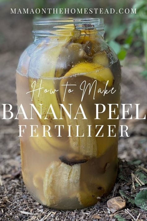 Learn to make a DIY banana peel fertilizer to improve the health of your garden, reduce waste, and make your homestead a bit more sustainable. #homesteading #homesteadgarden #gardenfertilizer #homemadefertilizer #diyfertilizer #bananapeelfertilizer #backyardgarden #gardendiy #homesteadmama #homesteadlife Banana Fertilizer How To Make, Banana Peels For Plants, Banana Fertilizer, Banana Peel Fertilizer, Home Made Fertilizer, Banana Peel Uses, Gardening Printables, Diy Fertilizer, Making A Compost Bin