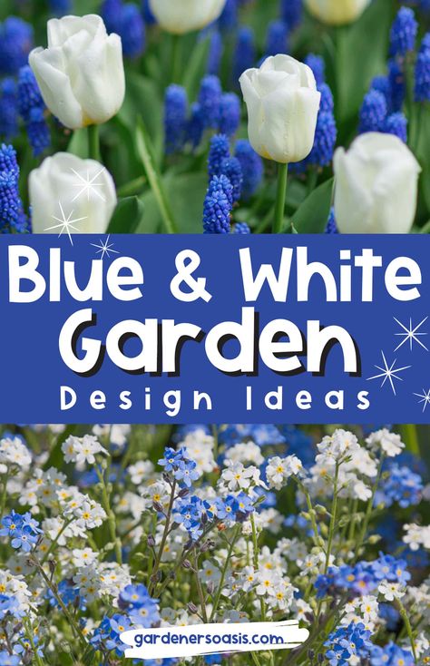 Blue & White Garden Design Ideas | Blue and White Garden Garden Color Scheme, Pretty Flower Garden, White Garden Design, Blue And White Garden, Blue And White Ginger Jars, Blue Flowers Garden, Perennials Flowers, Garden Front Yard, Deck Makeover