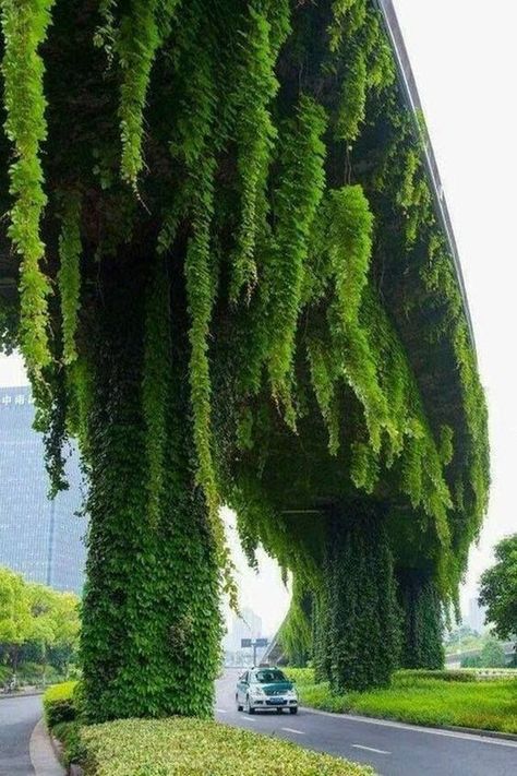 Under Bridge, Green Architecture, Green City, Chengdu, Futuristic Architecture, Vertical Garden, Green Plants, Amazing Nature, Landscape Architecture