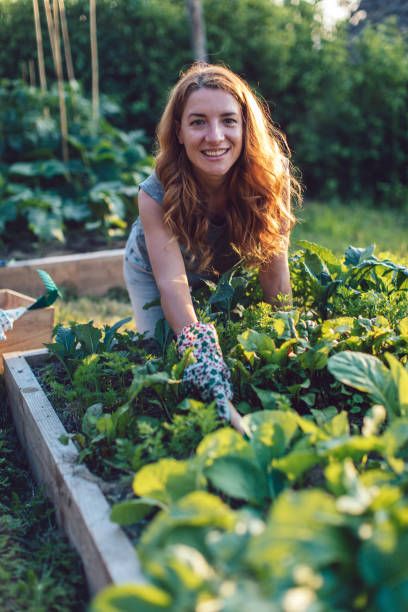 Cottage Garden Plants, Sandy Soil, Ground Cover Plants, Garden Photography, Hardy Perennials, Flowers Perennials, Veggie Garden, Potting Soil, Kitchen Garden