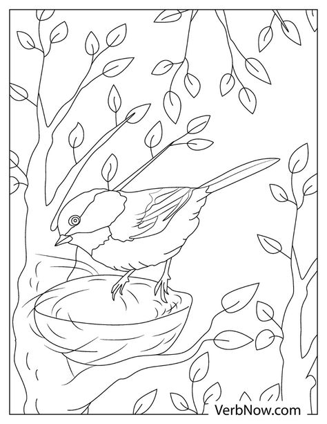 Chickadee (Bird)9 Chickadee Bird, How To Teach Kids, Art Template, Business For Kids, Punch Needle, Craft Tutorials, Spring Season, Bird Art, Coloring Sheets