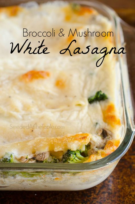 Broccoli and Mushroom Lasagna by SeededAtTheTable.com Veg Lasagna, Broccoli Lasagna, Mushroom Lasagne, Lasagna Vegetarian, Broccoli Mushroom, White Lasagna, Mushroom Lasagna, Meat Lasagna, Veggie Lasagna