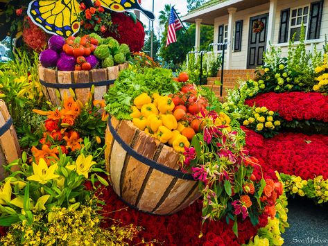 Garden Float Parade, Rose Parade, Parade Float, Marketing Ideas, California Travel, Horticulture, Flower Decorations, Float, Floating