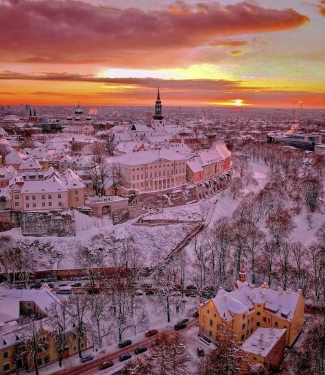 Tallin Estonia, European Bucket List, Tallinn Estonia, London Places, Travel Brochure, Dream Travel Destinations, Futuristic City, Tallinn, International Travel