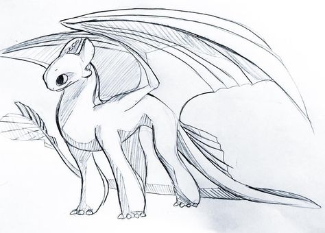 Light Fury the White Night Fury dragon sketch drawing Light Fury Dragon Drawing, Night Fury And Light Fury Drawings, Axolotl Dragon Art, Night Fury Dragon Drawing, How To Train Your Dragon Sketches, Night Fury Sketch, How To Train Your Dragon Drawings, Light Fury Drawing, Night Fury Drawing