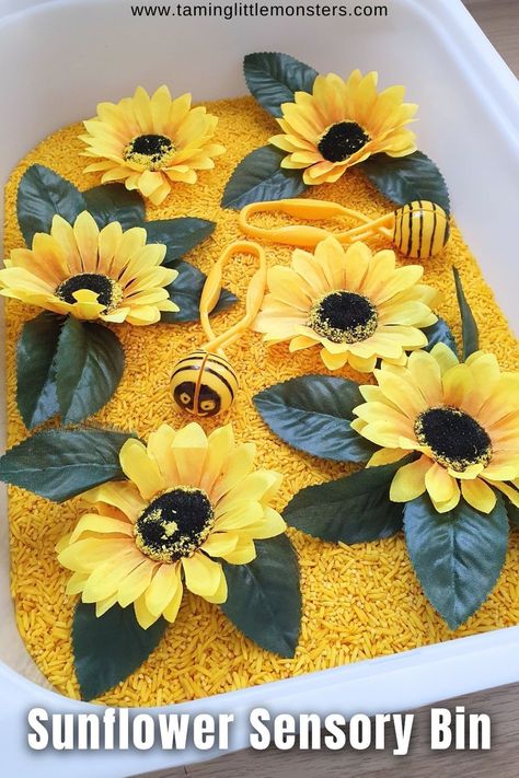 How to Make a Sunflower Sensory Bin.    This is an easy sensory activity that you can use for a Fall / Autumn theme.  Perfect for toddlers and preschoolers.    #Fall #autumn #sensory #toddler #preschool Sunflower Lesson Plans, Sunflower Fine Motor Activities, Sunflower Lesson Plan Preschool, Sunflower Toddler Activities, Sunflower Theme Preschool, Sunflower Sensory Bin, Sunflower Crafts For Toddlers, Sunflower Activities For Preschool, Easy Sensory Activities