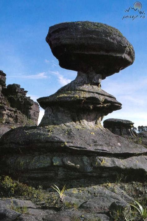 Monte Roraima 11 Monte Roraima, Mount Roraima, Mountain Formation, Mountain Images, Disney Up, Landscape Concept, Beautiful Rocks, Scenic Beauty, Futuristic Architecture