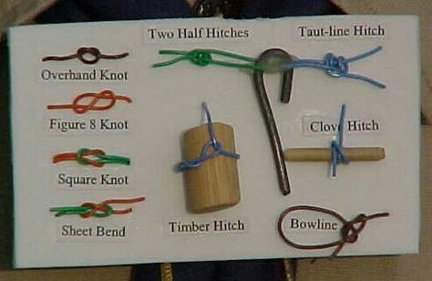 Knot tying craft Scout Knots Board, Knot Board, Scout Knots, Cub Scouts Wolf, Cub Scouts Bear, Bear Scouts, Cub Scout Activities, Girl Scouts Cadettes, Scout Crafts