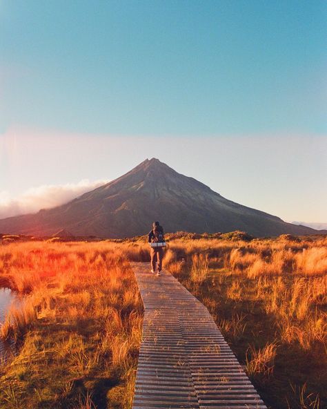 Itching for another adventure 🎞️ Currently working on a blog post about all of New Zealand’s North Island gems. It often gets overshadowed by South Island’s mountains and rugged landscapes, but trust me. North Island is rad. Can’t wait to share it with you all soon!! #newzealand #northislandnz #newzealandfinds #newzealandguide #35mm #35mmfilm #filmisnotdead #filmisalive #sheshootsfilm New Zealand North Island, Auckland Airport, New Zealand Itinerary, Bay Of Islands, 90 Day Plan, New Zealand North, New Plymouth, Epic Journey, South Island