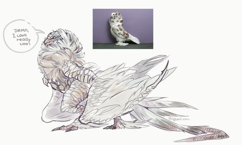 Wyvern Concept Art, Insect Girl, Girl Character Design, Dragon Sketch, Art Help, Girl Character, Fantasy Beasts, Creature Drawings, Monster Concept Art