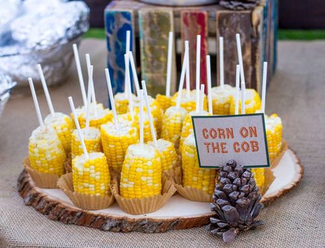 Camp Birthday Party Ideas, Summer Camp Birthday Party, Campout Birthday Party, Indoor Camping Party, Camp Birthday Party, Campout Party, Happy Camper Birthday Party, Yard Camping, Indian Birthday Parties