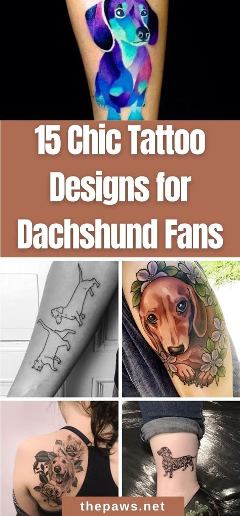 Dachshund is a friendly and very easy-going doggie. No wonder owners love them so much to get something permanent, such a tattoo! Wire Haired Dachshund Tattoo, Dachshund Memorial Tattoo, Dauchsands Tattoo, Weenie Dog Tattoo, Doxie Tattoo, Dachshund Tattoo Ideas, Daschund Tattoo, Dachshund Tattoos, Wirehaired Dachshund Puppy