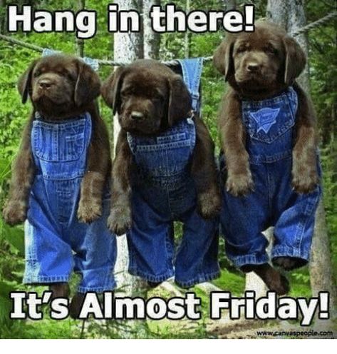 Almost Friday Meme, Funny Thursday Quotes, Thursday Meme, Friday Jr, Tomorrow Is Friday, Minion Gif, Thursday Humor, Good Morning Happy Thursday, Friday Meme