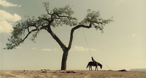 Ballad Of Buster Scruggs, Vintage Western Aesthetic, Buster Scruggs, Coen Brothers, Western Movie, Film Grab, James Franco, Through The Looking Glass, Film Stills