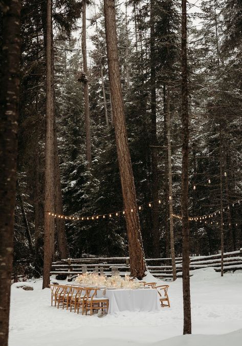 Winter Wonderland Wedding Venue Ideas | Montana Photographer | Elopement wedding ideas.on't miss these amazing winter elopement ideas and venues that'll make your 2024 celebration unforgettable! See tons of winter wedding themes, winter elopement flowers, fantasy winter wedding aesthetic and elegant winter wedding aesthetic. Book Brogan to capture your unforgettable winter wonderland elopement at photographybybrogan.com. Winter Wedding Forest, Winter Mountain Elopement, Winter Wedding Themes, Winter Elopement Ideas, Winter Wedding Aesthetic, 2024 Celebration, Elopement Wedding Ideas, Elopement Flowers, Fantasy Winter