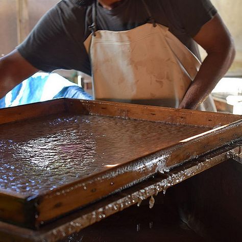 Making the perfect sheet of Green Banana Paper Banana Paper, Banana Peels, Banana Peel, Green Banana, Banana Tree, Paper Diy, Paper Making, Tree Trunks, Craft Paper