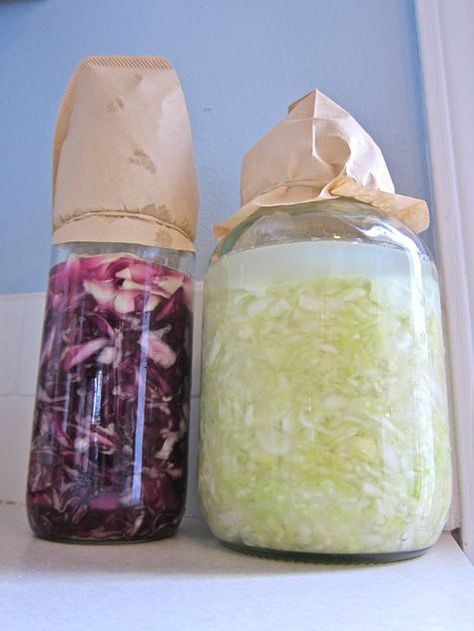 I love these directions for simple homemade sauerkraut, without the use of special equipment. Make Sauerkraut, Making Sauerkraut, Homemade Sauerkraut, Fermented Veggies, Plats Healthy, Gallon Jars, Sauerkraut Recipes, Probiotic Foods, Fermented Foods